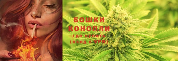 spice Баксан